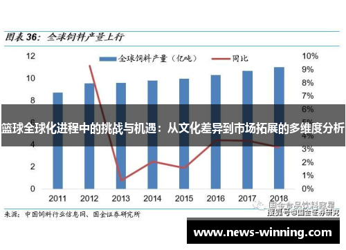 篮球全球化进程中的挑战与机遇：从文化差异到市场拓展的多维度分析