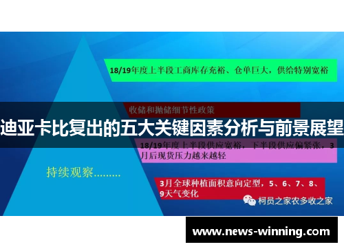 迪亚卡比复出的五大关键因素分析与前景展望