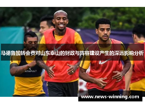 马德鲁加转会费对山东泰山的财政与阵容建设产生的深远影响分析